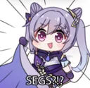 segs segs