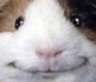 okay Discord emoji
