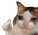 sadcatlike Discord emoji