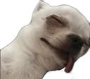 frikku