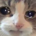 criiiiiiiiiuiiiiiu