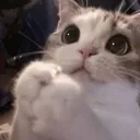 321Fav