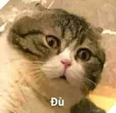 du