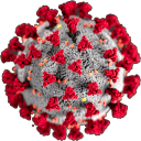 coronavirus Discord emoji