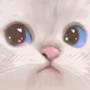 kitty_sus