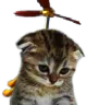 sadpropeller