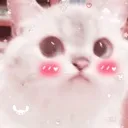 kitty_blush