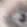 stare_1
