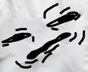 ew