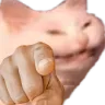 catpoint