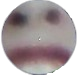 SadLukas Discord emoji