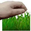 touchgrass
