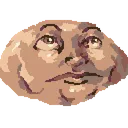 muscarter