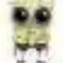 Wocky Wocky