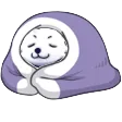 Cozy