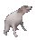 doggodance