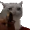cat_gun