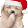 HEHEHENG