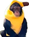 monkebanana