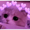 shy_cute