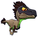 Raptor