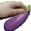 8303pettingeggplant