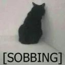 sobbing Discord Emoji