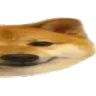 doge2
