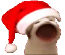 popcatsanta popcatsanta