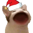 christmaspopcat
