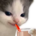cc_mischief_sip cc_mischief_sip
