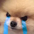 angery angery