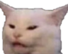 catwut Discord emoji