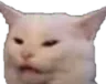 Catwut catwut Discord Emoji