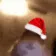HamsterNav