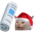 StupidCat