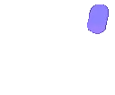 W_