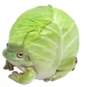 frogucce