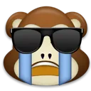 monkey_cry