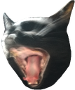 akipog Discord emoji