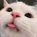 Mlem