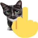 7525middlefingercat Discord Emoji