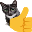 7178thumbsupcat Discord Emoji