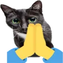 8926praycat1 Discord Emoji