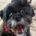 rosiesuprise