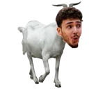 Sengoat