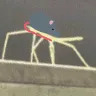 rat_stickbug