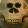 wazskull