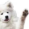 doggo_wave