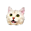 a_cat_surprize Discord emoji